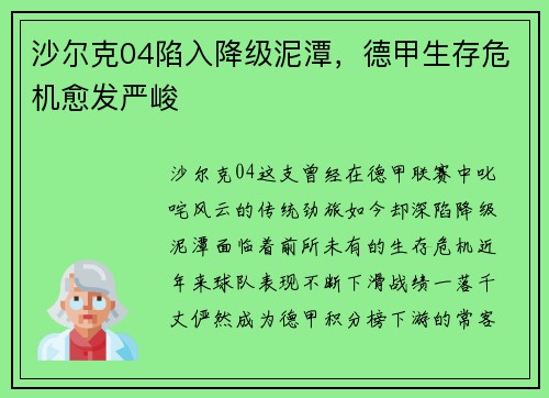 沙尔克04陷入降级泥潭，德甲生存危机愈发严峻